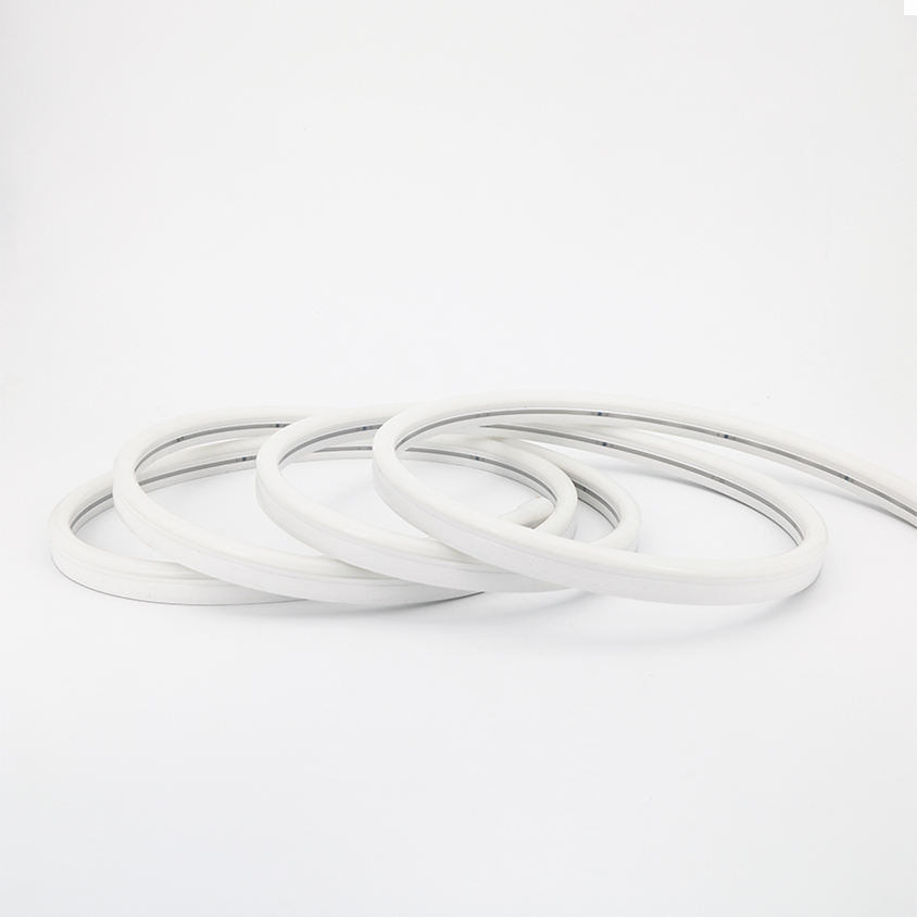 Shenzhen Kingunion Lighting Co., LTD. – tubo fluorescente 2
