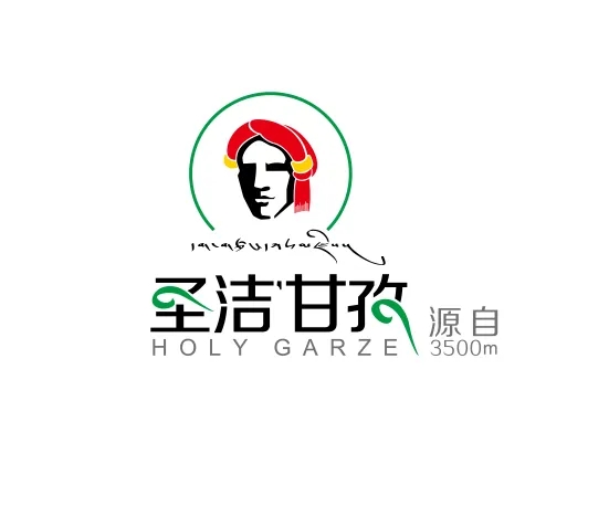 Ganzi Zongheng E-commerce Co., Ltd.