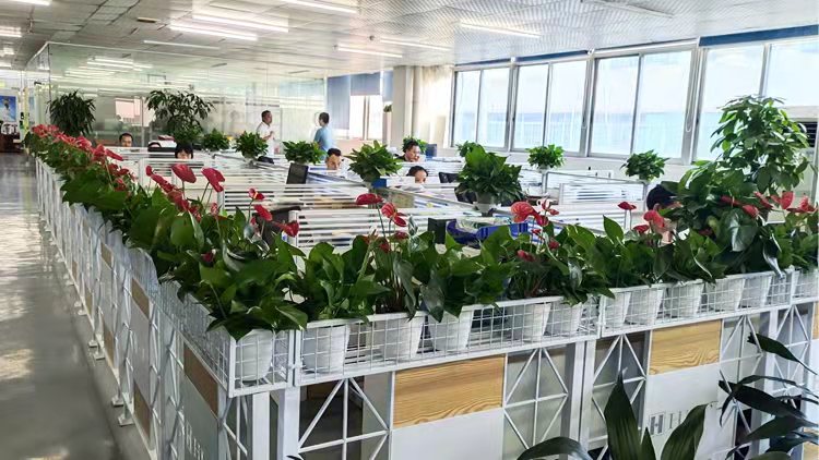 Chengdu Pengxin Ruiyi Trading Co., Ltd. – Photos produits 2