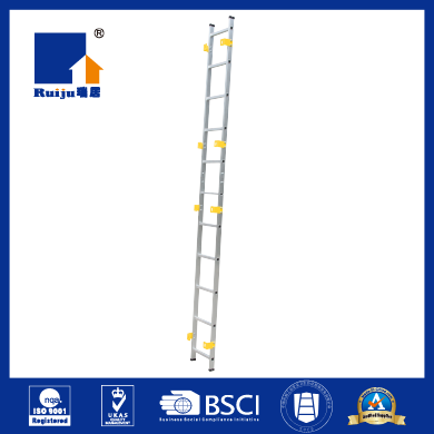 Pit Ladders