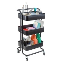 Mobile Metal Artist Trolley