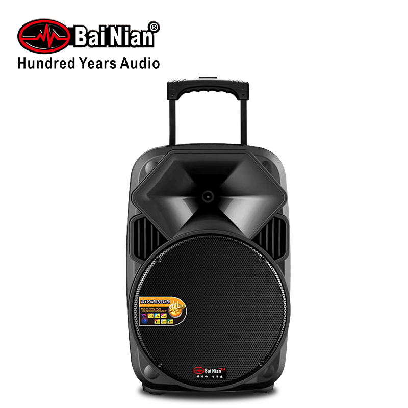 Speaker,Portable Speaker,8Inch Trolley Outdoor Active Speaker