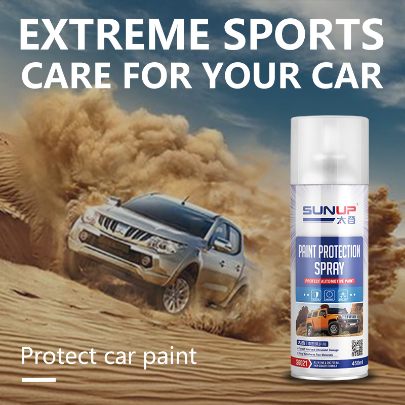 Paint Protection Spray