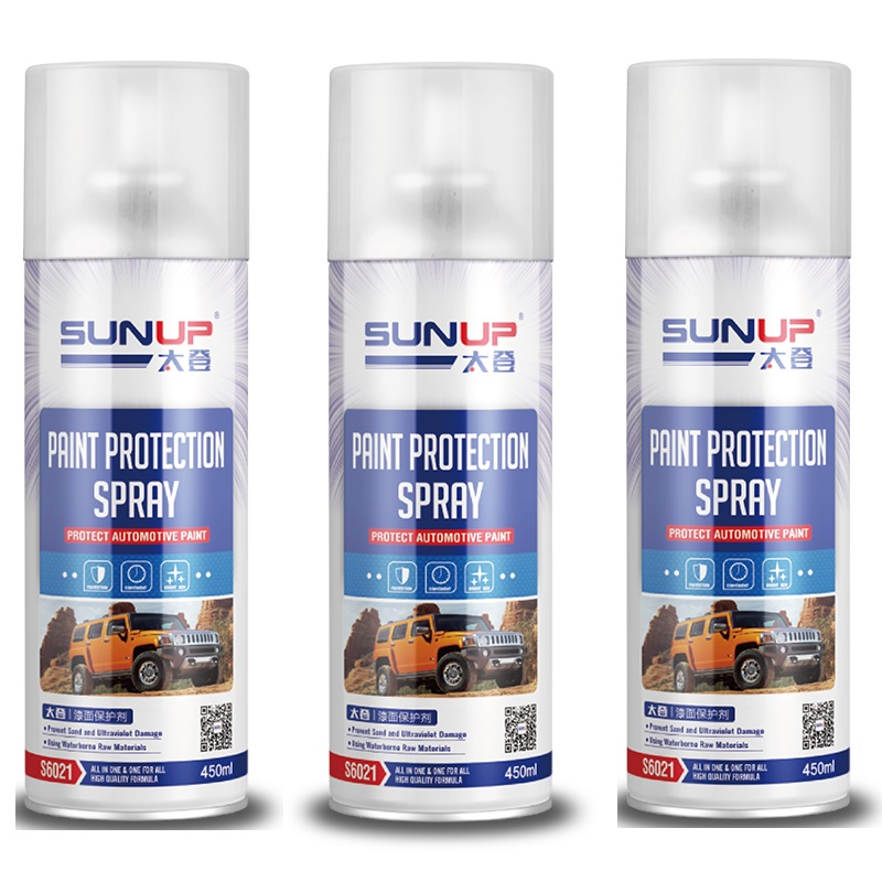 Paint Protection Spray