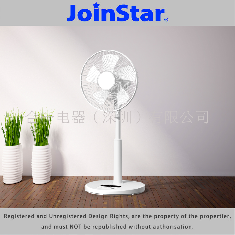 12 Inch DC Living Fan
