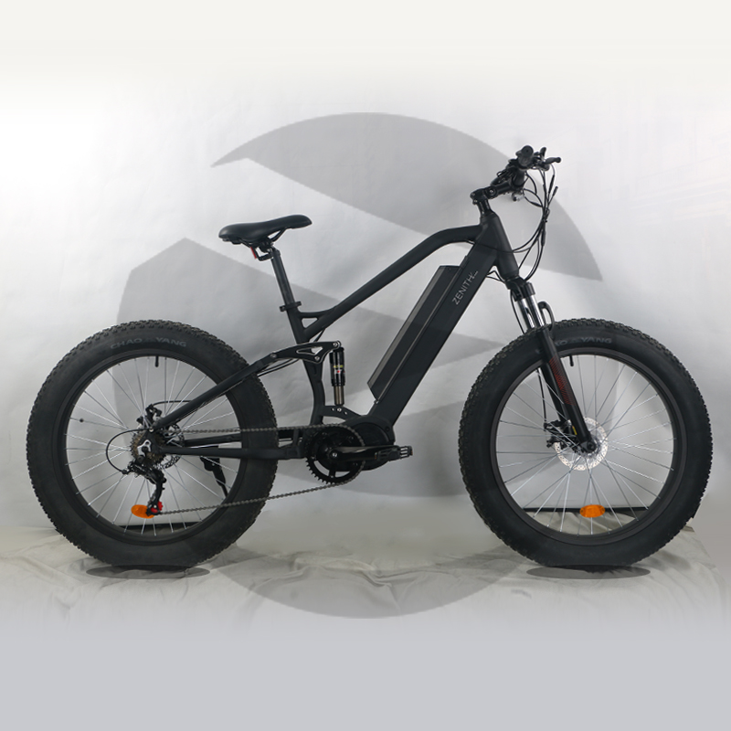 fat tire electric bike