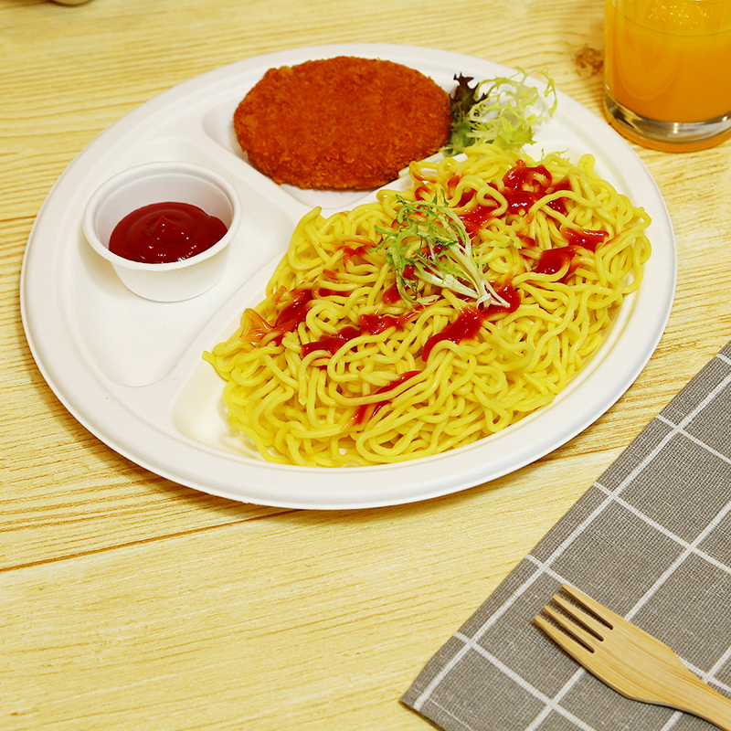 Eco-friendly bagasse sugarcane plate