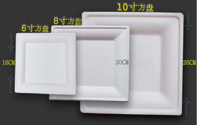 100% degradable sugarcane squre plate