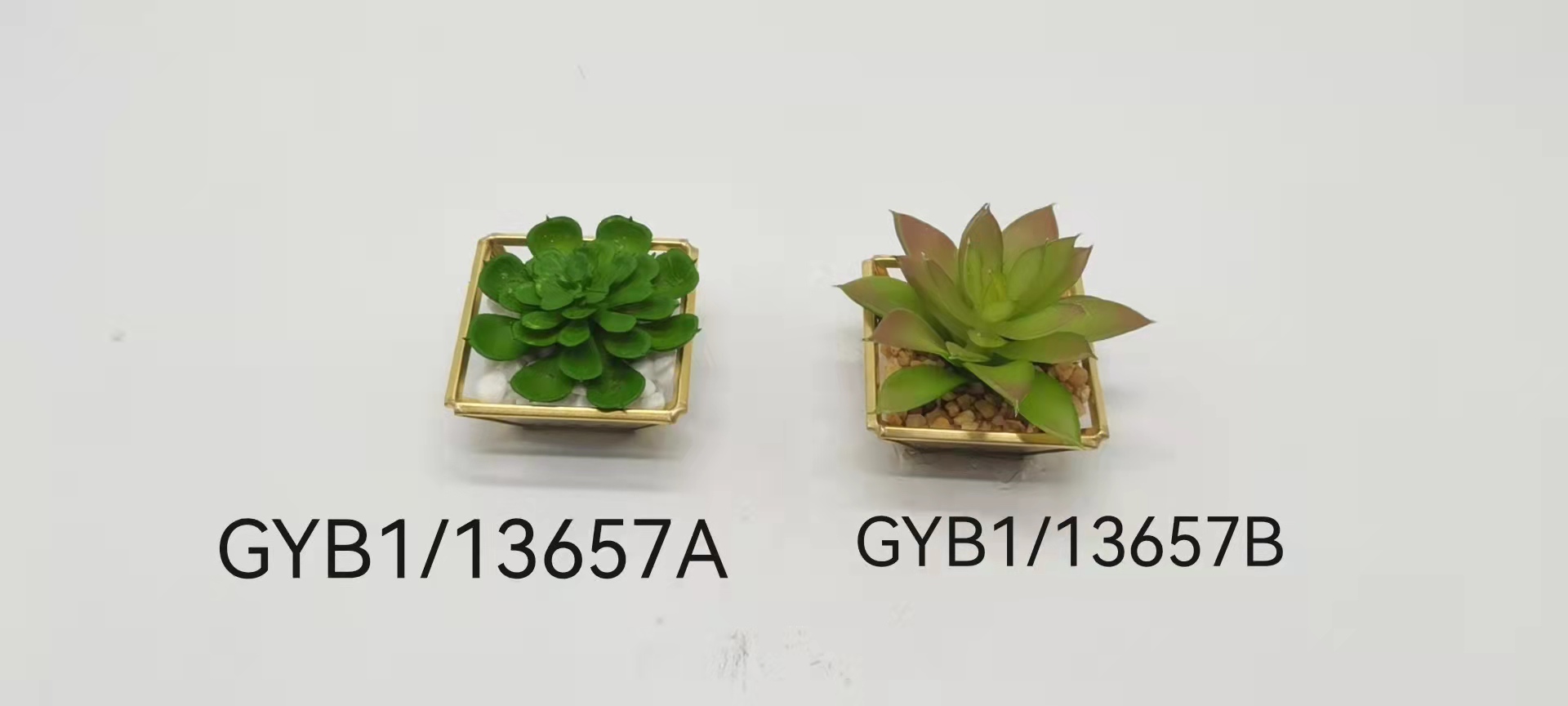 Succulent pot