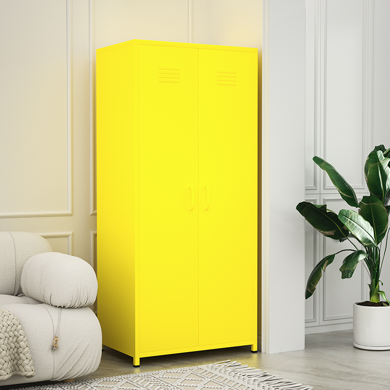 colorful steel locker with 2door
