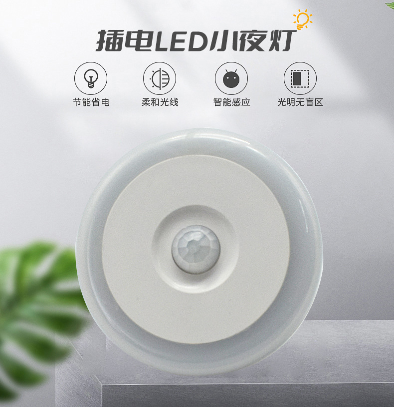 LED night light