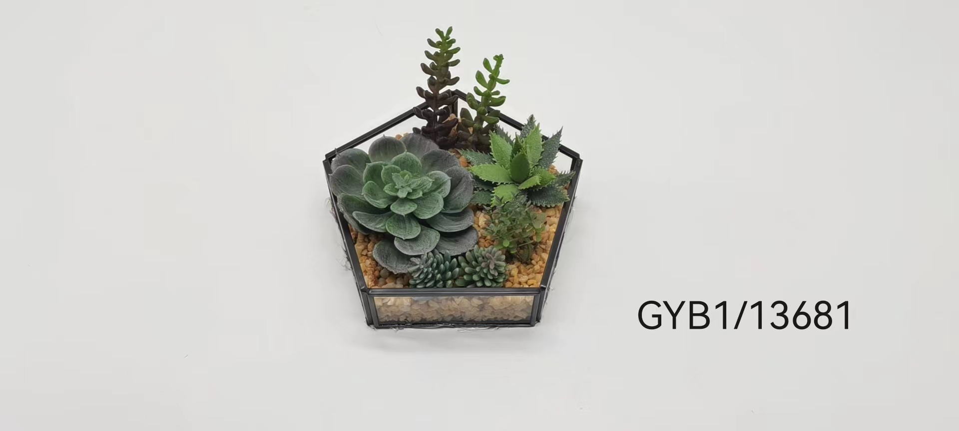Succulent pot