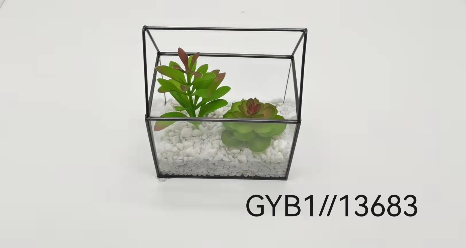 Succulent pot
