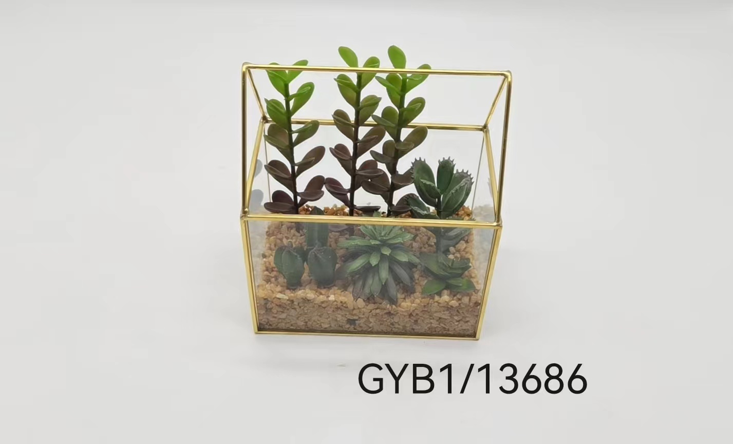 Succulent pot