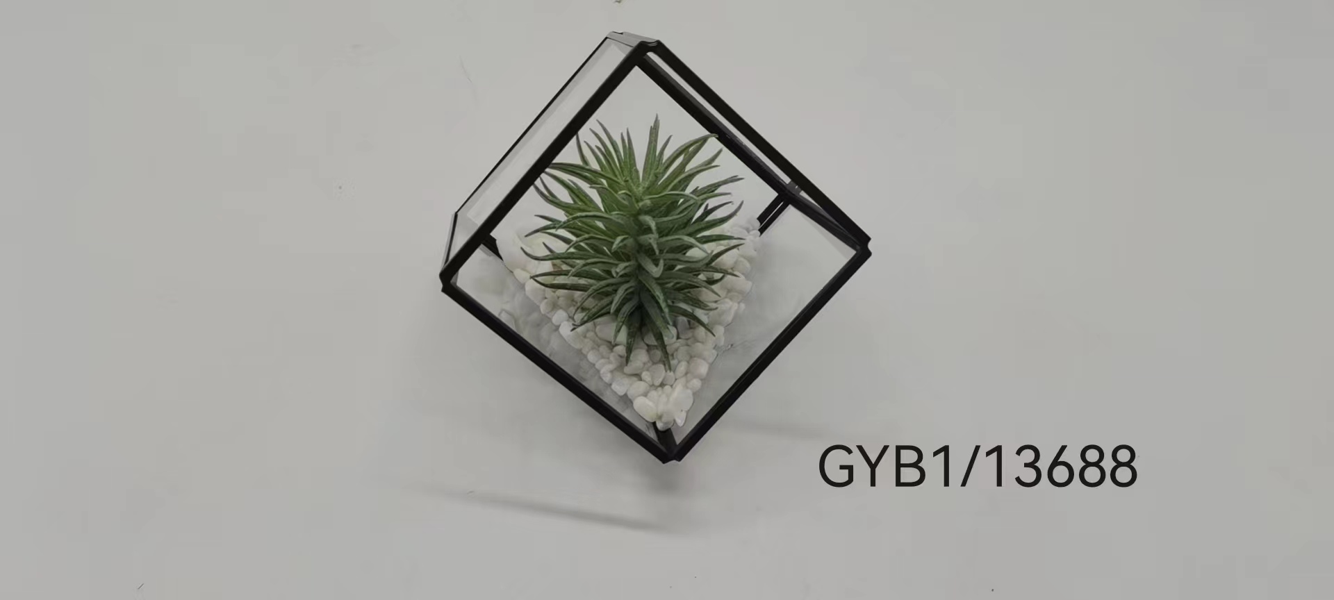 Succulent pot
