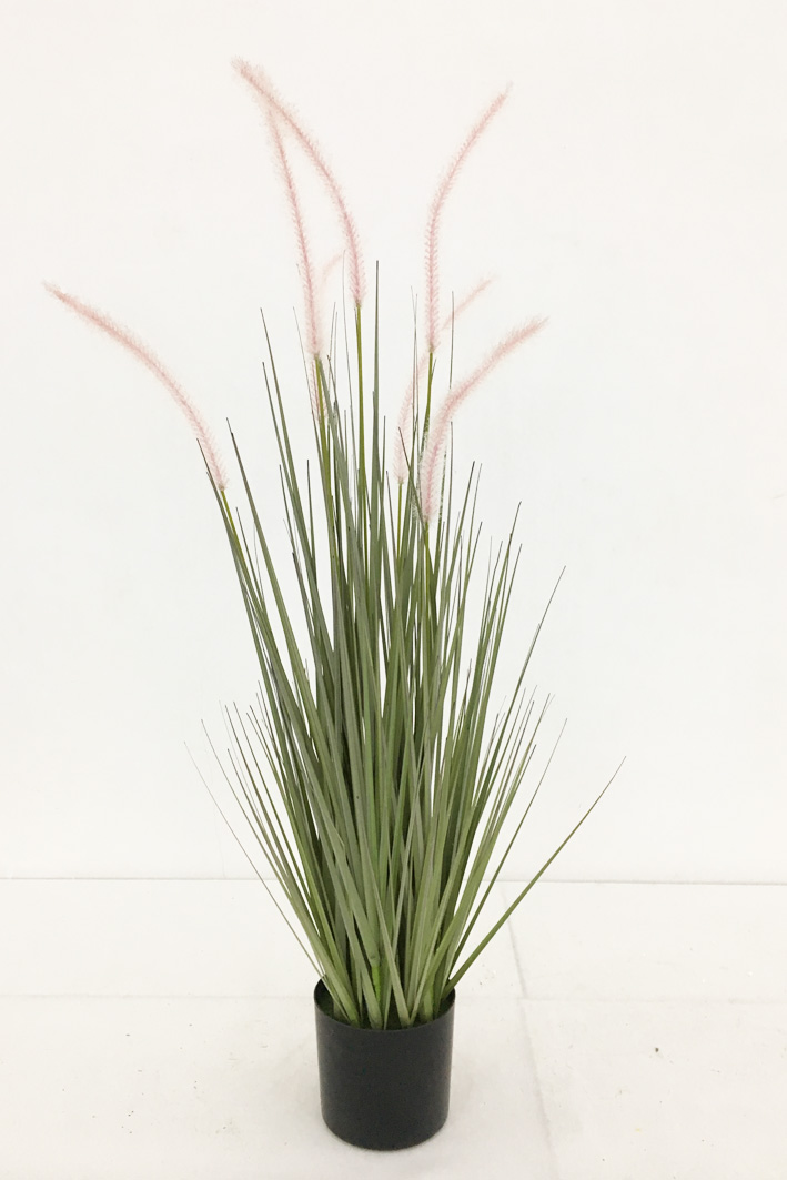 DONGGUAN ROSA IMPORT & EXPORT CO., LTD – portarretrato 3
