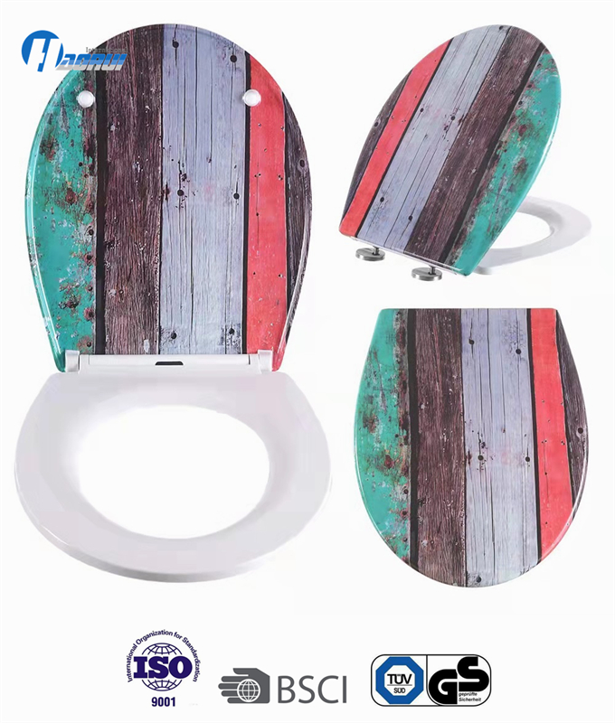 Toilet seat, Bathroom toilet seat, Duroplast toilet seat , printed toilet seat , soft close seat