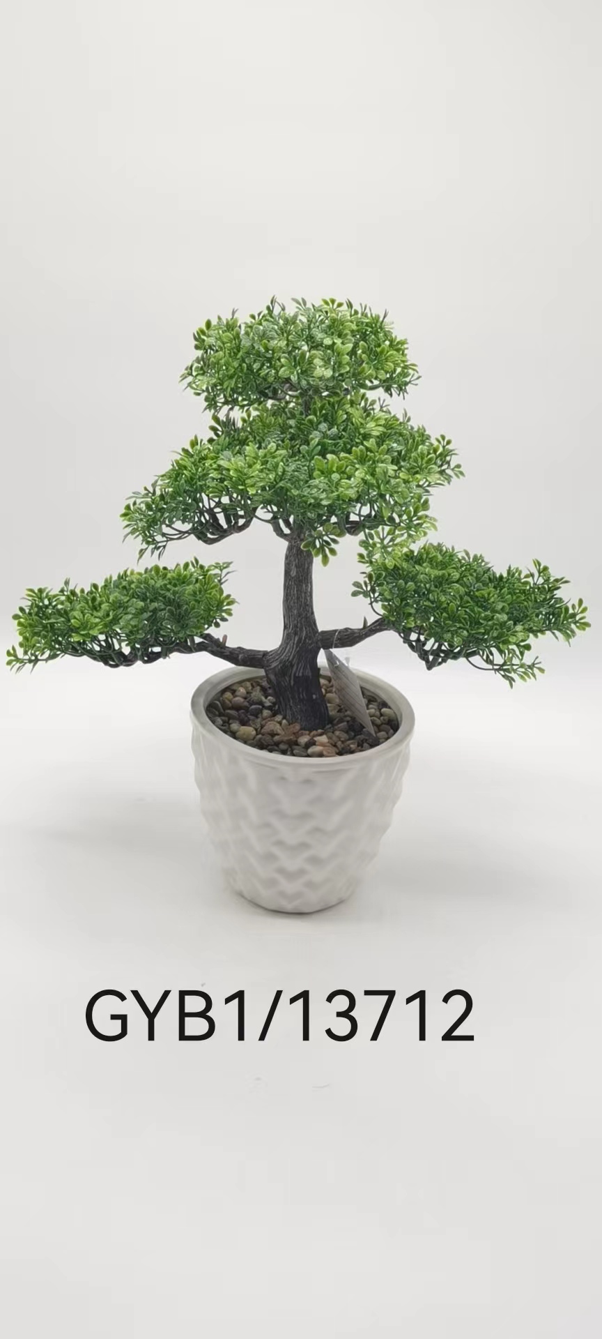 Pine bonsai