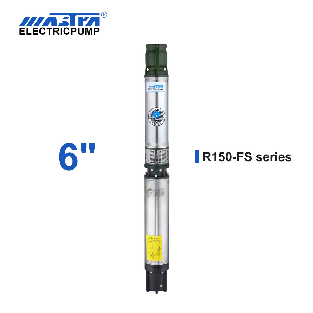 R150-FS submersible pump