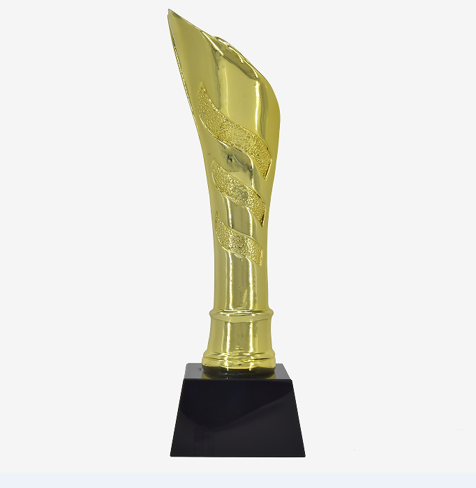 TROPHY Trophy customization academic trophy