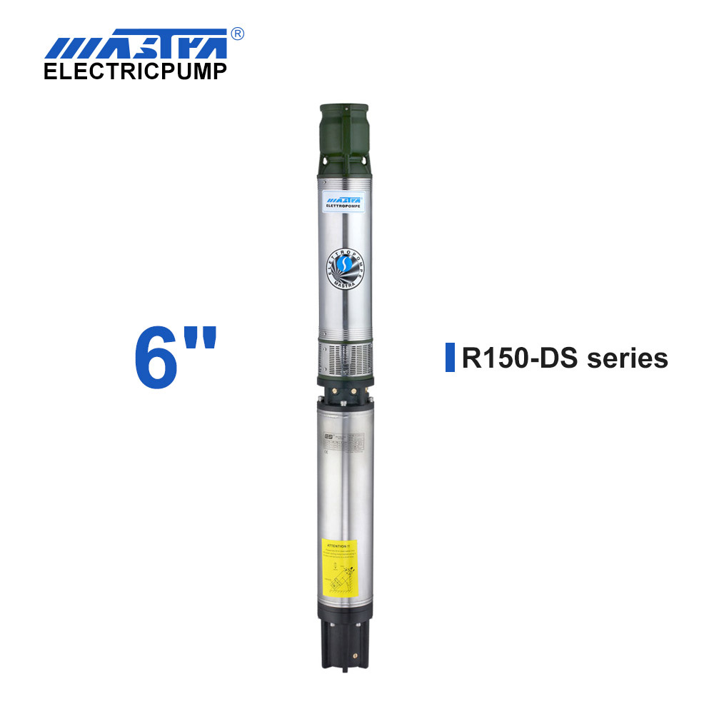 R150-DS submersible pump