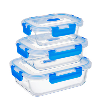 High borosilicate glass food storage container with lid