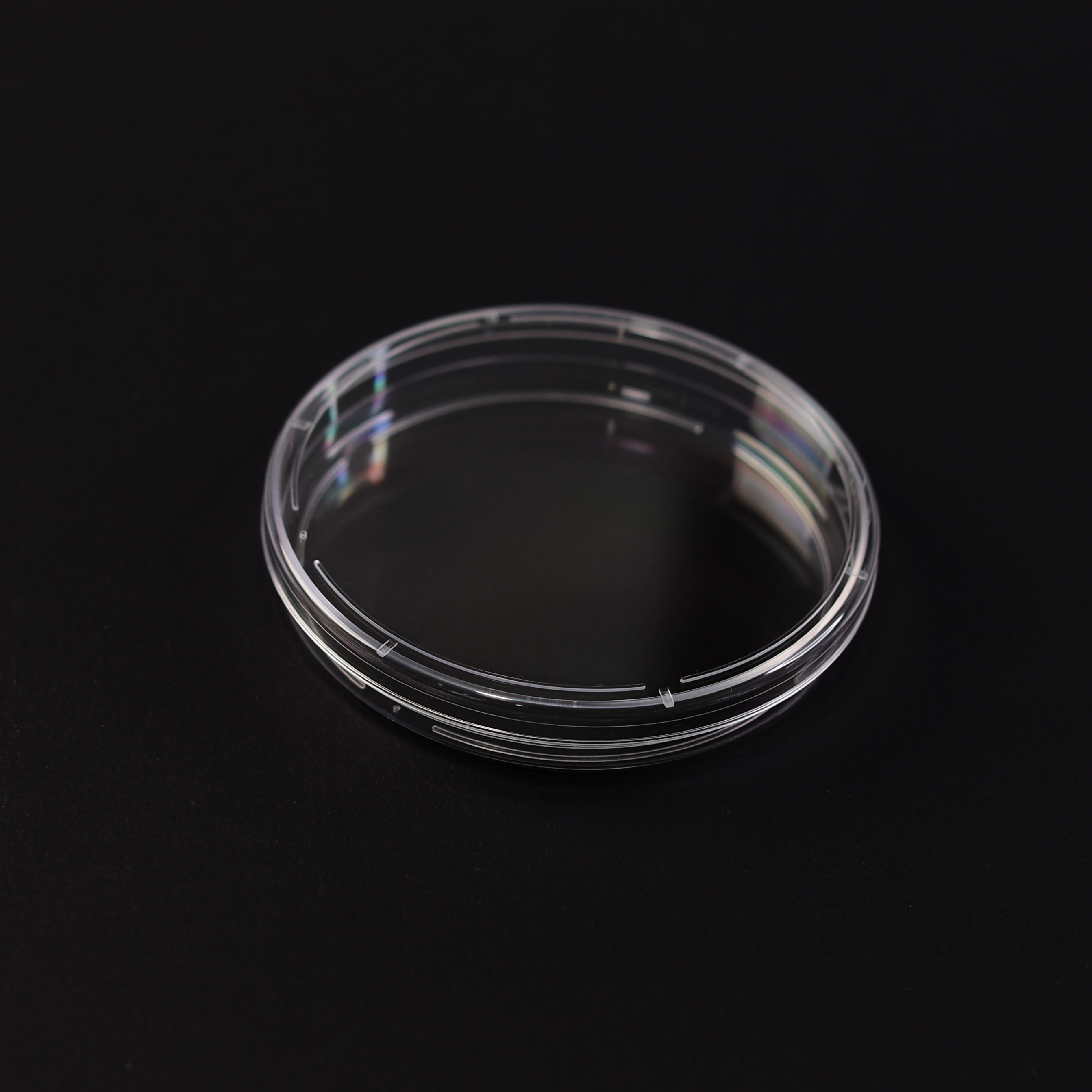 Petri dish