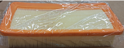 28113-1g000 Auto Air Filter