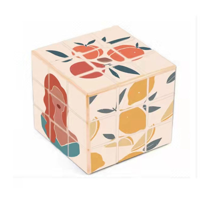 Artistic Life Magic Cube