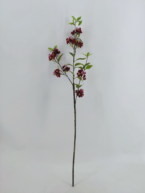 Flower spray