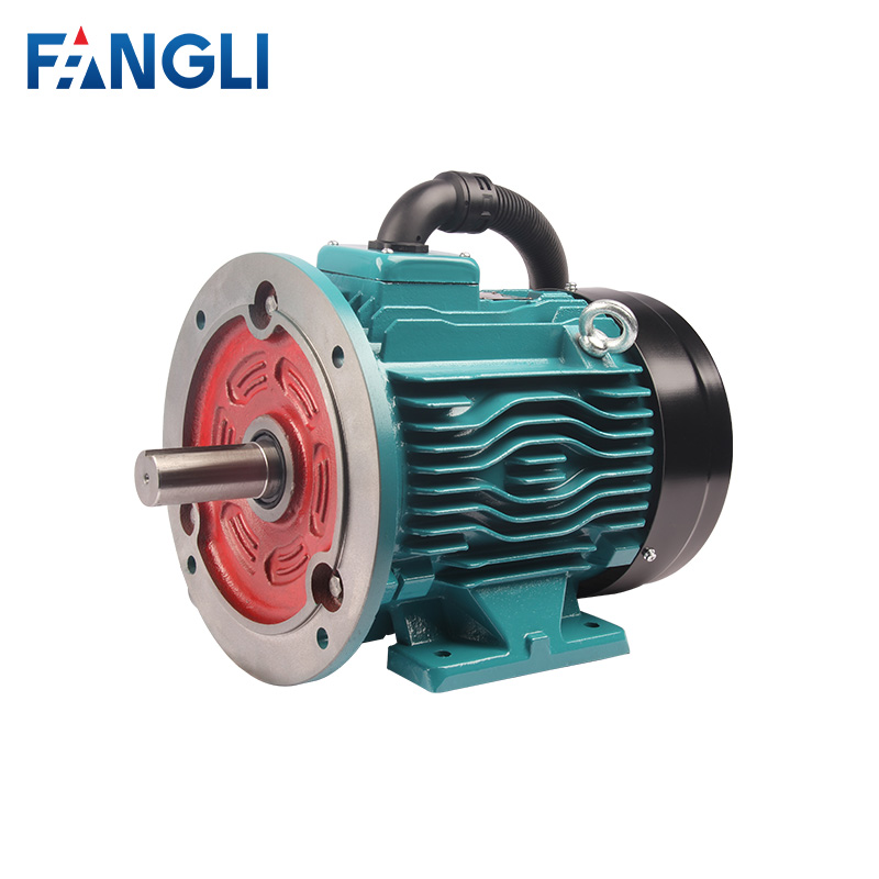 FPM/FYPM Series Permanent Magnet Synchronous Motor