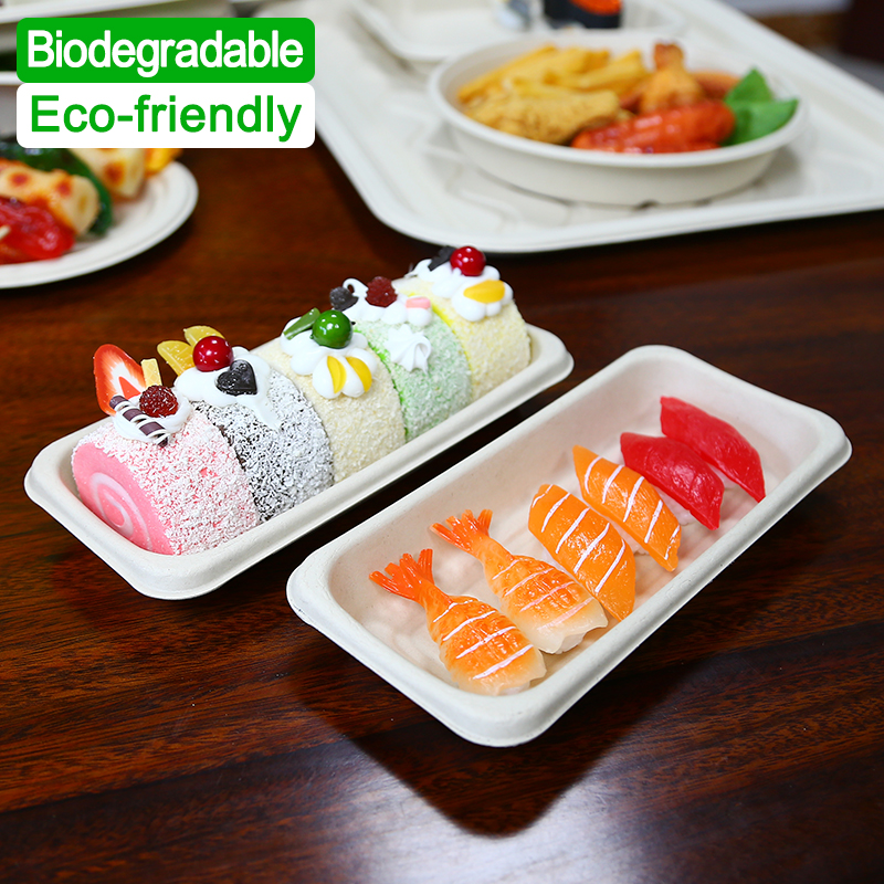 Compostable Bagasse Sugarcane Meat Dessert Fruit Vegetable Tray