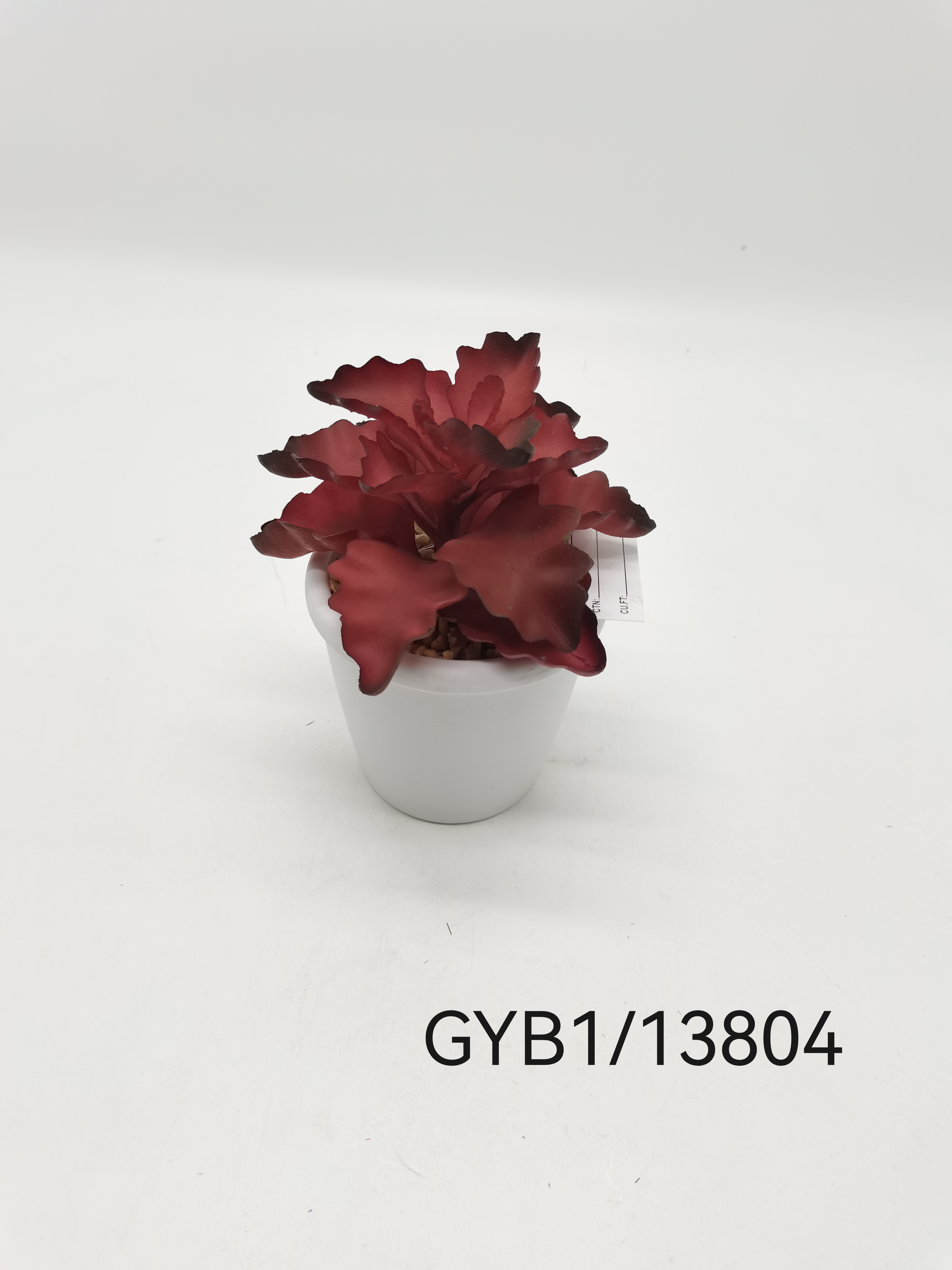 Succuletn pot