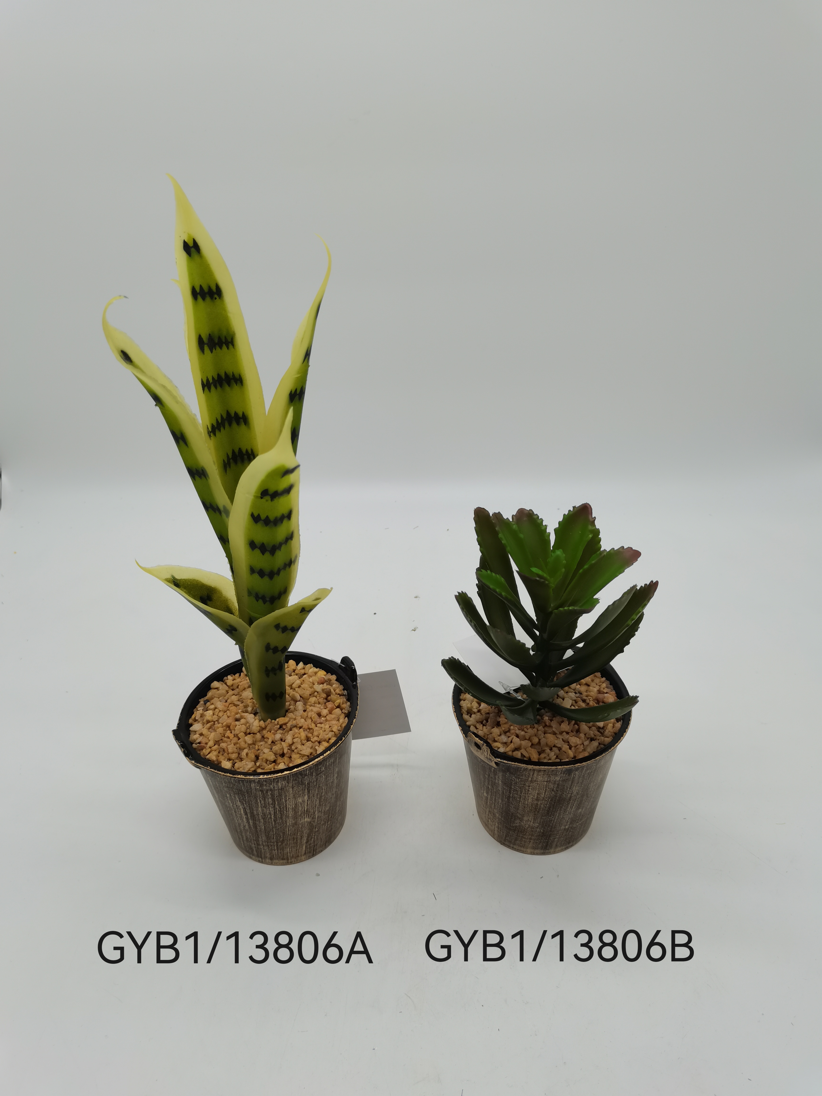 Succuletn pot