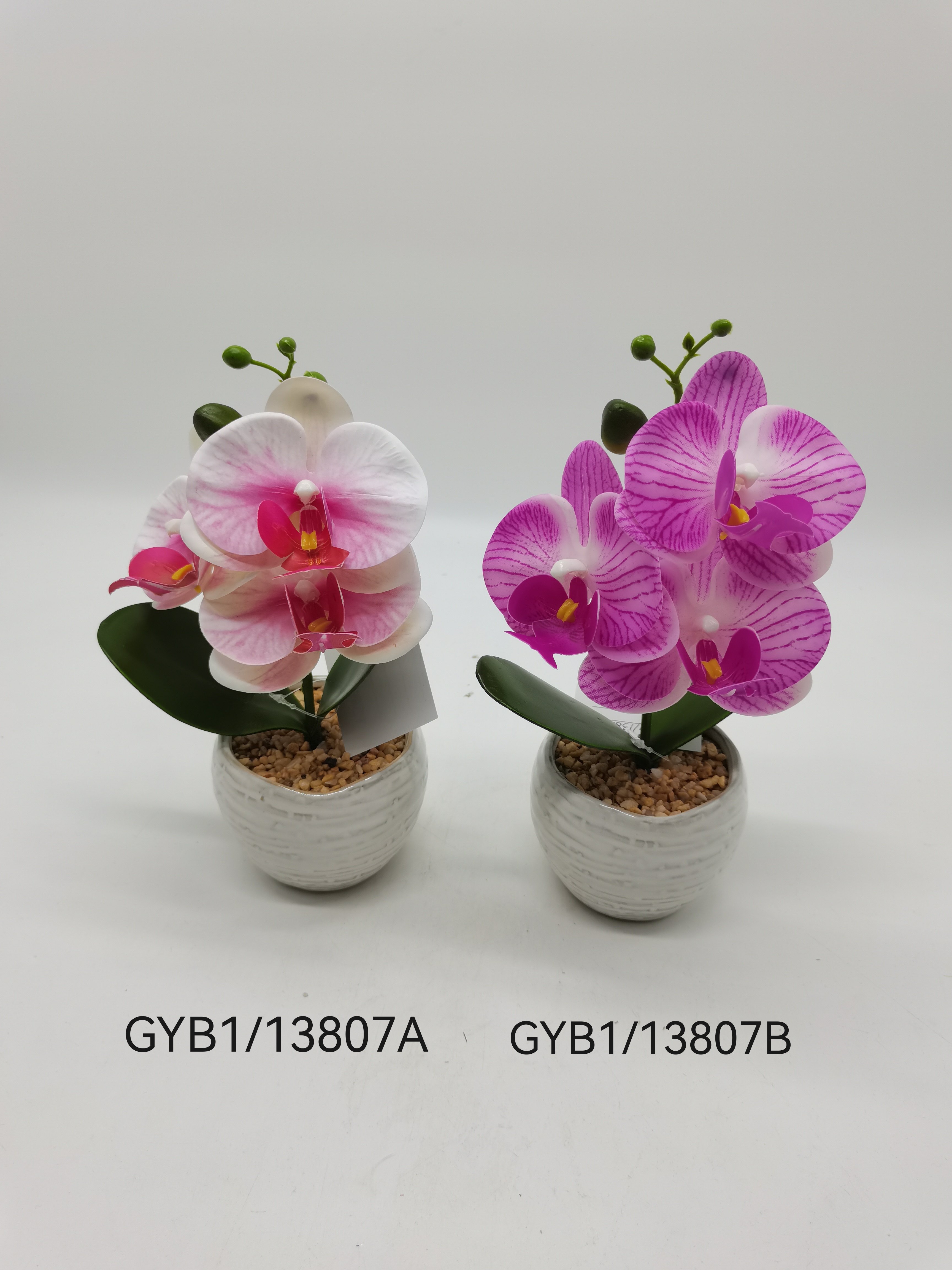 Orchid bonsai
