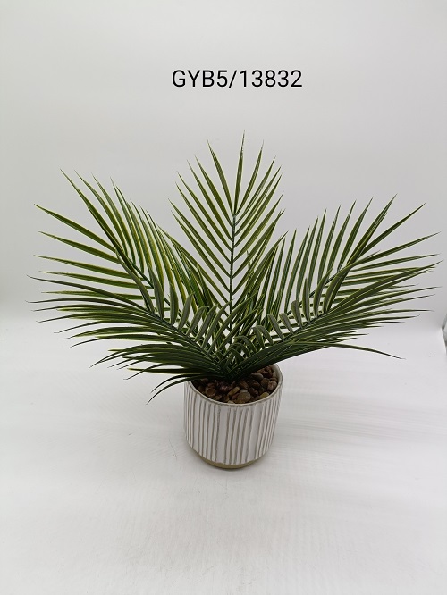 GYB5/13832