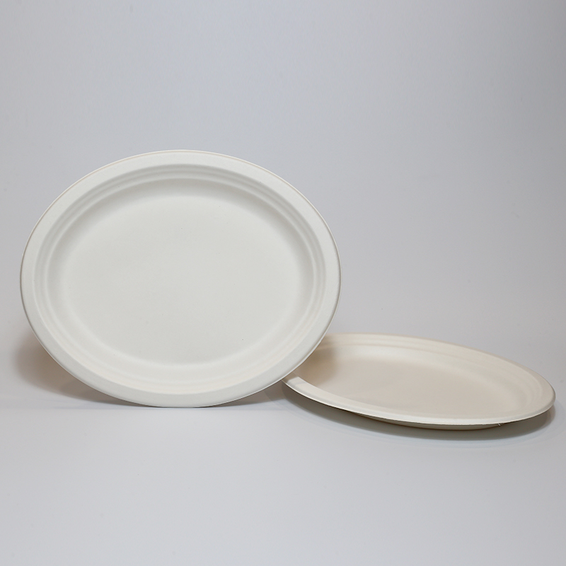 Degradable Compostable Bagasse tableware oval plate