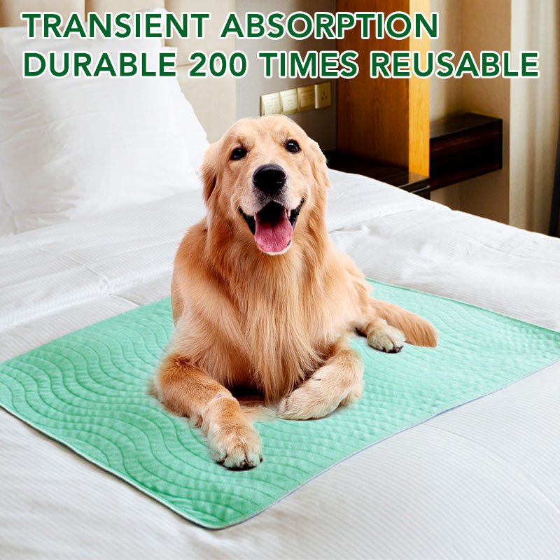 My Turf Washable pads 60x45cm