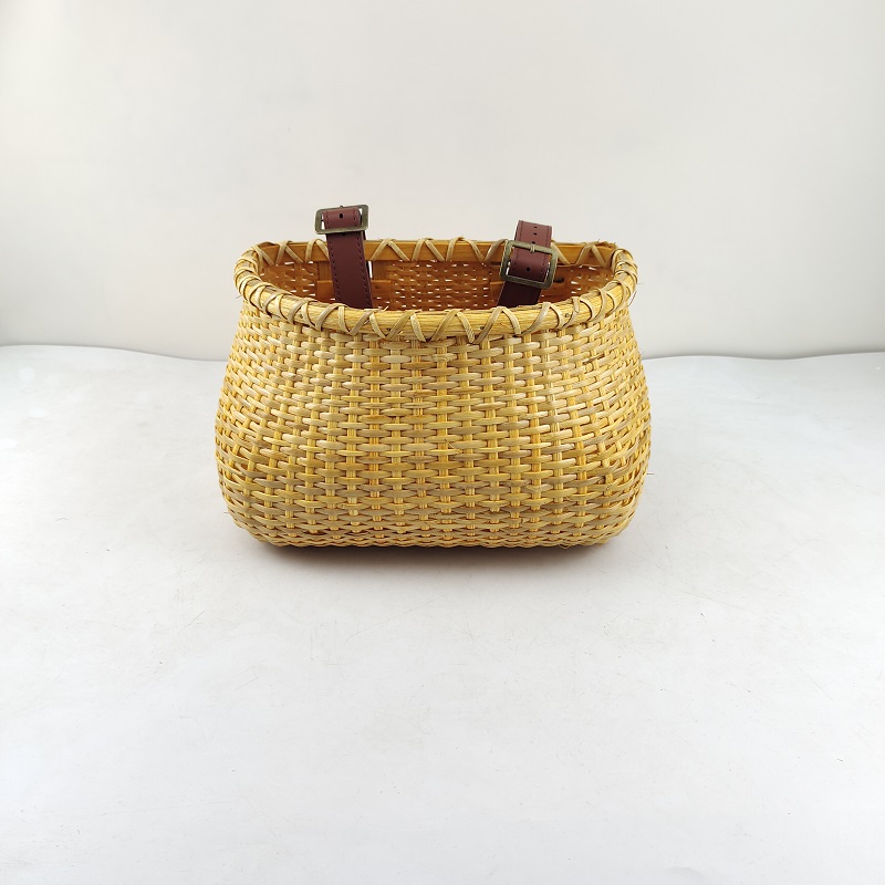 bicycle with front basket