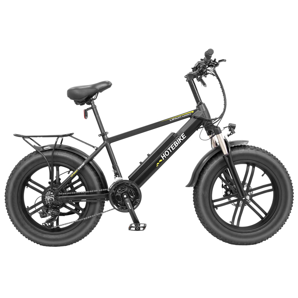 20 inch 60V 750W dual motor electric fat bike