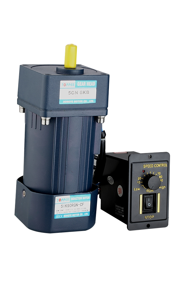 AC gear motor