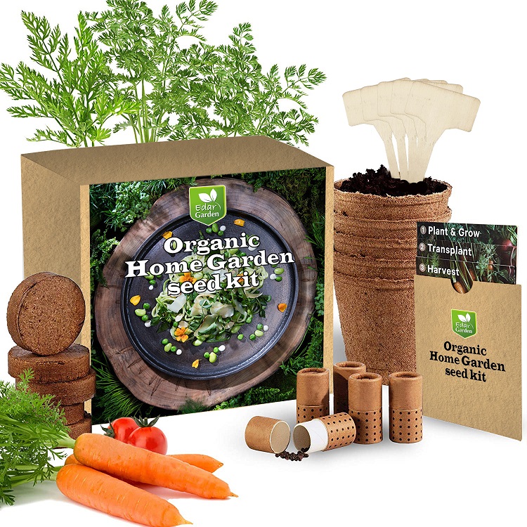 Biodegradable Paper Pot Organic Sed Grow Your Own Indoor Herb Garden Starter Kit