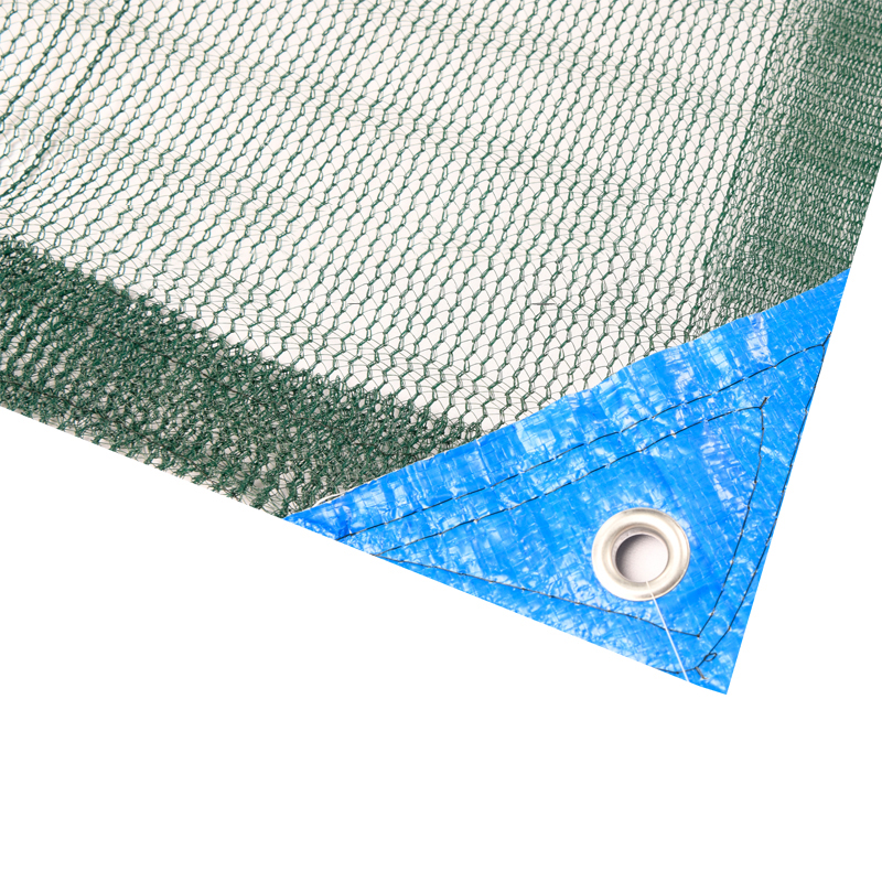 Olive net
