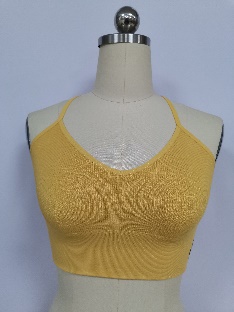 Seamfree Sports Bra