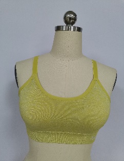 Seamfree Sports Bra