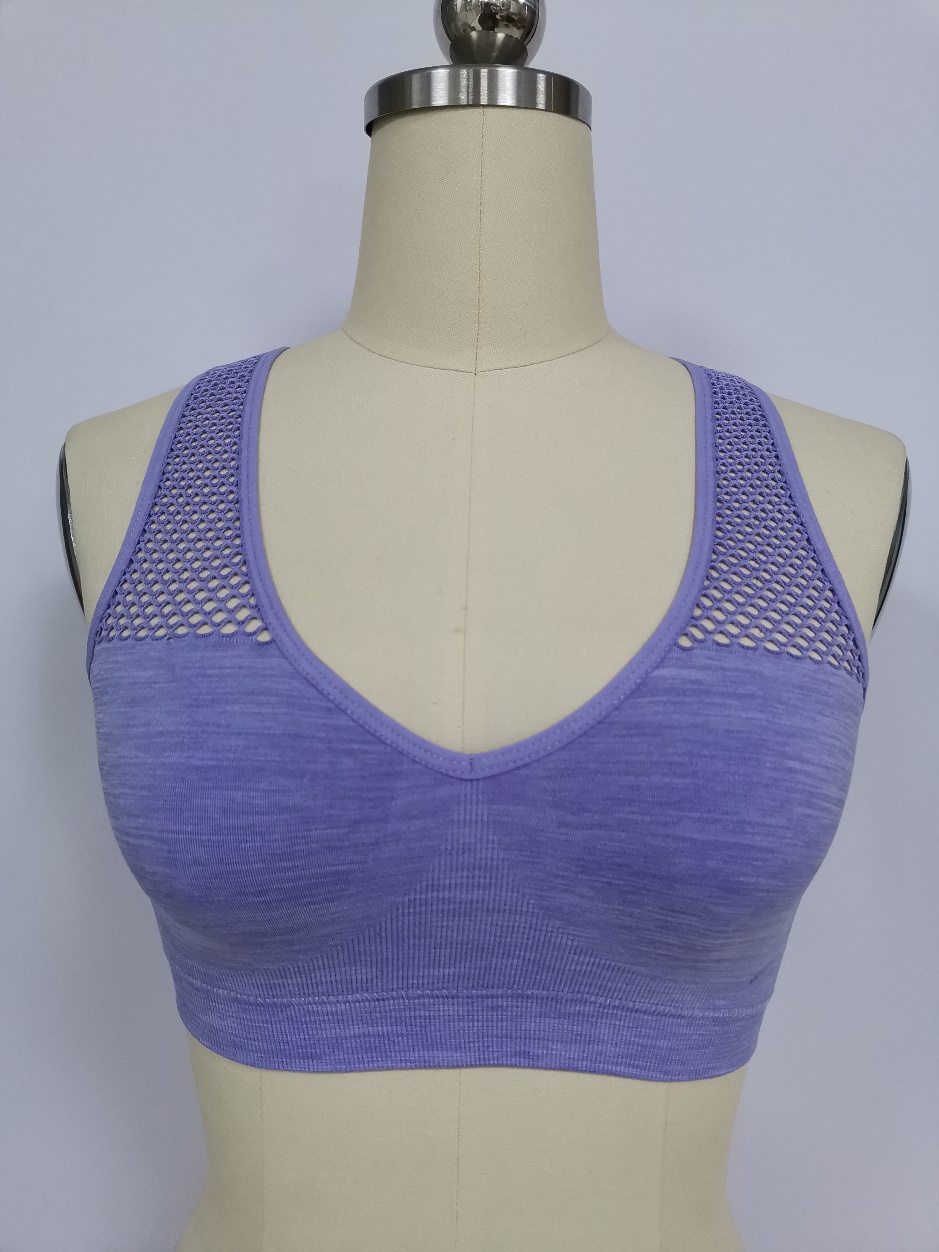 Seamfree Sports Bra