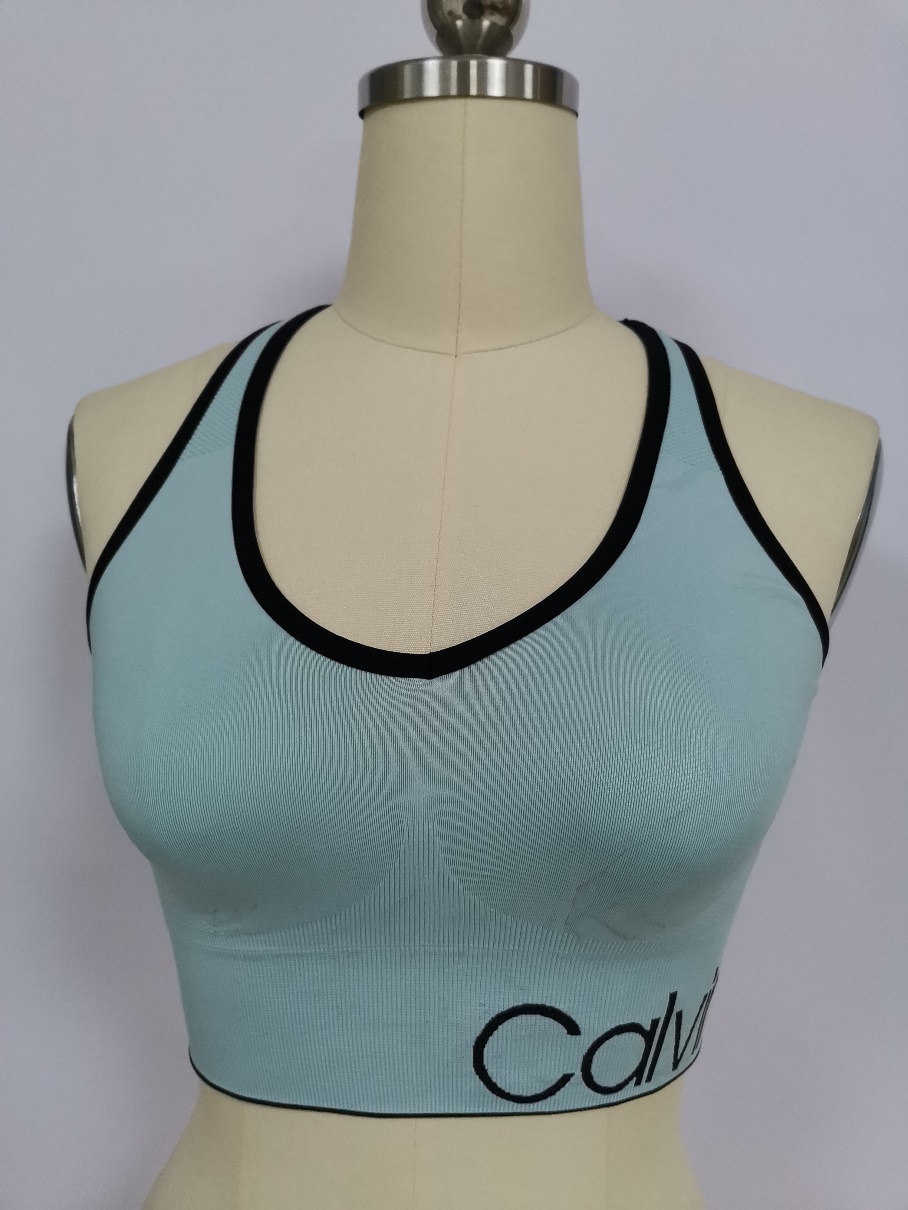 Seamfree Sports Bra