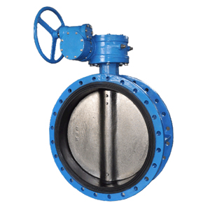 Double Flanged Concentric Butterfly Valve