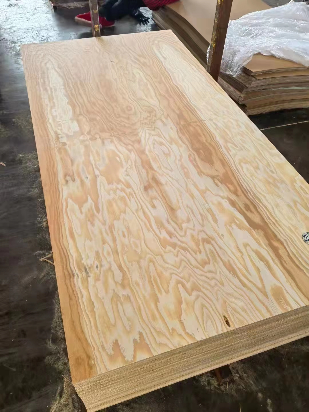 Larch plywood
