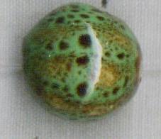 Porcelain beads